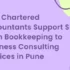 how chartered accountants support sme from bookkeeping to business consulting services